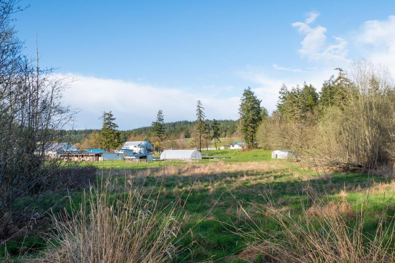 Saturn'S Return Bed & Breakfast Friday Harbor Luaran gambar